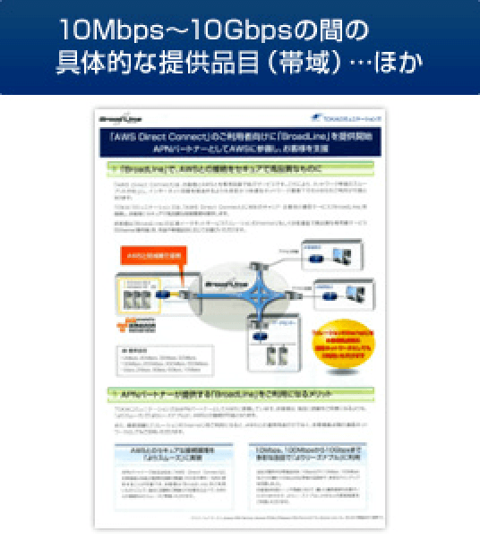 10Mbps～100Mbpsの間の具体的な提供品目（帯域）…ほか